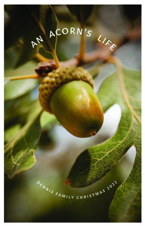 Christmas - Acorn